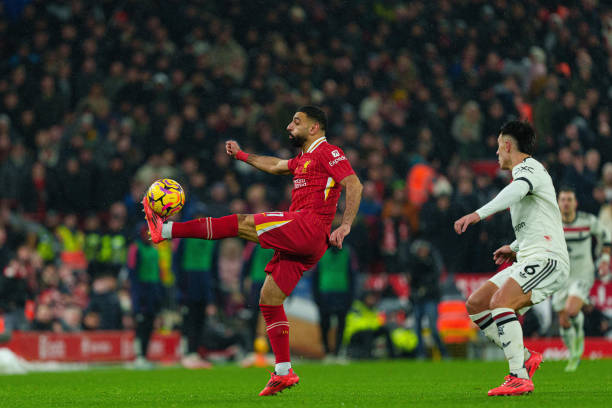 提供了难得 提供了难得